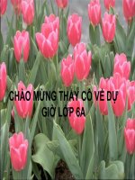 slide 1 chào mừng thầy cô về dự giờ lớp 6a i bài cũ số a được gọi là bội của số b khi nào î nêu cách tìm bội áp dụng tìm x b7 và x