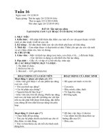 Giáo án môn Mĩ thuật 4 - Tuần 16