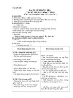 Mĩ thuật 5 tuần 30