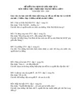 Đề thi giữa học kì 2 môn Tiếng Việt lớp 5 năm 2019-2020 có đáp án - Trường Tiểu học Đại Đồng