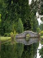 slide 1 chµo mõng c¸c thçy c« bµi 22 t¸c dông tõ cña dßng ®iön tõ tr­êng i lùc tõ 1 tn mục đích kiểm tra xem dòng điện qua dây dẫn thẳng có tác dụng từ hay không bố trí hình 22 1 dây dẫn song son