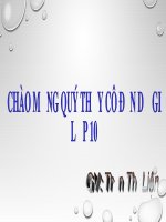 Bài giảng Tin học 10: Bài 10 - Trần Thị Liên