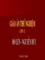 slide 1 i tióu dén 1 t¸cgi¶ tªn khai sinh nguyôn duy nhuö sím må c«i mñ sèng víi bµ ngo¹i sinh n¨m 1948 néi dung nghö thuët i tióu dén 2 bµi th¬ “ §ß lìn” a xuêt xø gi¶i thých tõ khã b §äc gi¶i thýc