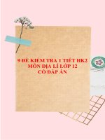 9 Đề kiểm tra 1 tiết học kì 2 môn Địa lí lớp 12 có đáp án