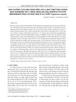 Ảnh hưởng của ánh sáng đèn led (Light Emitting Diode) đến hormone IGF-I mRNA (Insulin-like Growth Factor messenger RNA) và sinh sản ở cá chép (Cyprinus carpio)