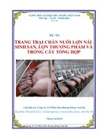 Dự án trang trại chăn nuôi lợn nái sinh sản, lợn thương phẩm và trồng cây tổng hợp 