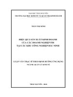 (Luận văn thạc sĩ) hiệu quả hoạt động sản xuất kinh doanh của các doanh nghiệp FDI tại các KCN bắc ninh 