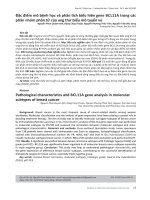 Đặc điểm mô bệnh học và phân tích biểu hiện gene BCL11A trong các phân nhóm phân tử của ung thư biểu mô tuyến vú