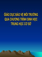 Giao duc bao ve moi truong qua day mon Sinh