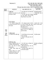 Giáo án tuần 22. Tết và mùa xuân