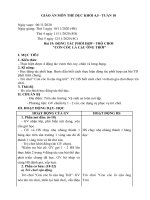 Giáo án môn Thể dục khối 4 5 - Tuần 10