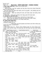 ngaøy soaïn ngaøy soaïn tieát 27 baøi daïy lôùp saâu boï – chaâu chaáu i muïc tieâu baøi hoïc laøm cho hs hieåu ñöôïc 1 kieán thöùc moâ taû döôïc caáu taïo ngoaøi vaø caáu taïo trong cuûa chaâu chaáu