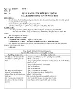 ngaøy soaïn 04 9 2006 tröôøng thcs ngoâ quyeàn giaùo aùn sinh 8 ngaøy soaïn 2 12 2006 tuaàn 14 tieát 27 baøi 26 thöïc haønh tìm hieåu hoaït ñoäng cuûa enzim trong tuyeán nöôùc boït i muïc tieâu hs bie