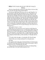 Ta lai buoi chao co dau tuan