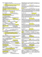 c©u 1 c©u 1 sãng ®iön tõ cã b¶n chêt lµ a sù biõn thiªn cña ®iön tr­êng vµ tõ tr­êng trng m«i tr­êng vët chêt b sù lan truyòn ®iön tr­êng vµ tõ tr­êng trong kh«ng gian c sù biõn thiªn cña ®iön tr­êng