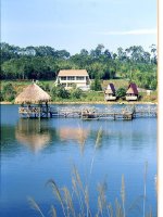 slide 1 kieåâm tra baøi cuõ theo em nhaän ñònh naøo sau ñaây ñuùng nhaát veà baûn chaát cuûa caâu a caâu phaûn aùnh caùc söï kieän cuûa hieän thöïc b caâu theå hieän moät nhaän ñònh cuûa tö duy c