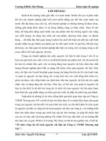 Tổ chức công tác kế toán nguyên vật liệu tại công ty TNHH thương mại VIC 