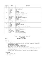 Giao an Lop 2 tuan 3