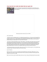 lắp máy tính 2 gắn linh kiện trên bo mạch chủ lắp máy tính 2 gắn linh kiện trên bo mạch chủ bo mạch mainboard là trung tâm kết nối và điều phối mọi hoạt động của các thiết bị trong máy tính lắp