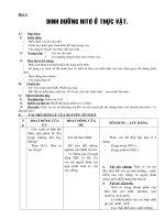 chöông iii baøi 5 dinh döôõng nitô ôû thöïc vaät a muïc tieâu 1 kieán thöùc hieåu ñöôïc vai troø cuûa nitô trình baøy ñöôïc quaù trình bieán ñoåi nitô trong caây vận dụng lý thuyết vào thực tiễn sản