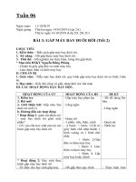 Giáo án môn thủ công khối 2 - tuần 6