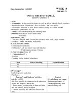 Leson plan 3- week 19