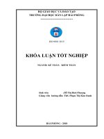 Hoàn thiện công tác lập và phân tích bảng cân đối kế toán tại công ty TNHH thương mại VIC 