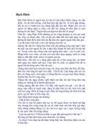 Hau lieu trai Bach Binh