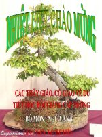 slide 1 c¸c thçy gi¸o c« gi¸o vò dù tiõt häc héi gi¶ng cêp tr­êng bé m«n ng÷ v¨n 8 gi¸o viªn ®ç thþ hiªn ¤ ch÷ gåm 12 ký tù ®©y lµ tªn cña b¸c hå th­êng dïng trong 30 n¨m ho¹t ®éng c¸ch m¹ng 1911 –