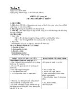 Giáo án môn Mỹ thuật lớp 4 5 - tuần 21
