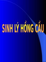 SINH lý HỒNG cầu (SINH lý SLIDE) (chữ biến dạng do slide dùng font VNI times, tải về xem bình thường) 