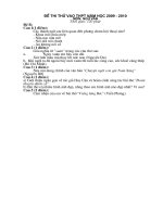 De thi thu vao lop 10 mon ngu van 20092010 so 2