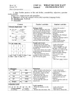 testpro template lesson plan english 6 phuc thanh secondary school teacher tge week 24 unit 11 what do you eat period 70 lesson 6 grammar practice date of preparation i aim further practice in like a