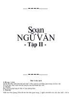 Soan NV 9 tap 2 Bo cuc chu de tom tat