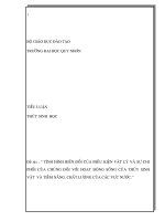 caùc nhaân toá voâ sinh cuûa moâi tröôøng soáng bao goàm trong caùc ñaëc tính líhoùa cô hoïc cuûa moâi tröôøng nöôùc vaø neà boä giaùo duïc ñaøo taïo tröôøng ñaïi hoïc quy nhôn tieåu luaän thuûy sin