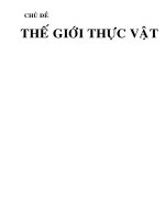 môi trường tự nhiên chuû ñeà theá giôùi thöïc vaät moâi trường tự nhiên i cơ sở chọn chủ đề trẻ em sinh ra tiếp xuùc với thế giới xung quanh baèng taát caû caùc giaùc quan vaø ngay töø nhoû ñaõ coù t
