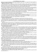 Hiệu lực của đạo luật hình sự Việt Nam về không gian và thời gian