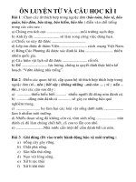 DE CUONG ON LT VA CAU CUOI KI I