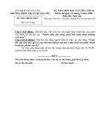 2 Đề thi học sinh giỏi môn Văn lớp 10 năm 2020 THPT thị xã Quảng Trị có đáp án | Ngữ văn, Lớp 10 - Ôn Luyện