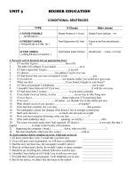 unit 5 unit 5 higher education conditional sentences type if clause main clause i future possible có thể xảy ra simple present v vs es simple future willcan v ii present unreal không th