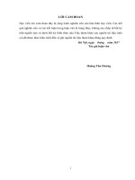 Giải pháp tăng cường công tác kiểm tra thuế đối với các doanh nghiệp ngoài quốc doanh tại chi cục thuế thành phố lạng sơn   