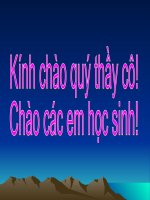 powerpoint presentation thứ 2 ngày 23 tháng 2 năm 2009 kiểm tra bài cũ dựa vào hiểu biết của em về các con vật trả lời những câu hỏi sau a sóc chuyền từ cành này sang cành khác như thế nào b thỏ c