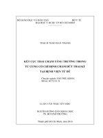 Kết cục thai chậm tăng trưởng trong tử cung có chỉ định chấm dứt thai kỳ tại bệnh viện từ dũ 