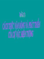 slide 1 1 h y ®¸nh dêu vµo nh÷ng mæt ®èi lëp theo nghüa triõt häc trong nh÷ng c©u sau a lùc hót – lùc ®èy b §ång ho¸ dþ ho¸ c chiõn sü c«ng an víi bän bu«n lëu d thiªn vµ ¸c e tr¾ng ®en 2 t¹