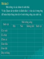 ¤ nhiôm m«i tr­êng bµi tëp 1 m«i tr­êng vµ c¸c nh©n tè sinh th¸i vý dô quan s¸t tù nhiªn vµ ®¸nh dêu x vµo c¸c « t­¬ng ­íng ®ó hoµn thiön b¶ng tãm t¾t vò m«i tr­êng sèng cña sinh vët sinh vët m«i tr