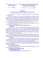 Kế hoạch MẪU Bồi dưỡng thường xuyên