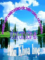 slide 1 thø t­ ngµy 21 th¸ng 10 n¨m 2009 khoa häc em h y cho biết khi bþ bönh cçn cho ng­êi bönh ¨n uèng nh­ thõ nµo kióm tra bµi cò thø t­ ngµy 21 th¸ng 10 n¨m 2009 khoa häc bµi 17 phßng tr¸nh tai