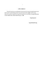 (Luận văn thạc sĩ file word) Nghiên cứu, đề xuất giái pháp chỉnh trị bờ biển khu vực cửa Lấp tỉnh Bà Rịa Vũng Tàu