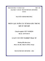 Phân lập, nuôi cấy tế bào gốc trung mô từ mô mỡ 