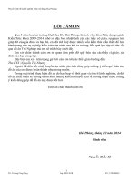 Luận văn tốt nghiệp sân vận động hoa phượng 